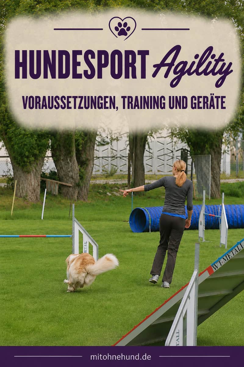 Hund absolviert beim Agility-Training einen Parcours mit Sprung und Tunnel, während die Hundeführerin den Hund durch die Geräte führt.