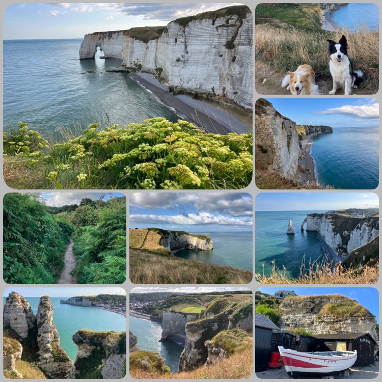 Étretat in der Normandie mit Hund – Wandern entlang der Kreideküste in Frankreich