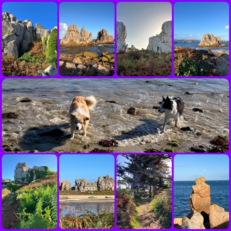 Plougrescant in der Bretagne mit Hund – Felsenküste, Meer und Wanderwege