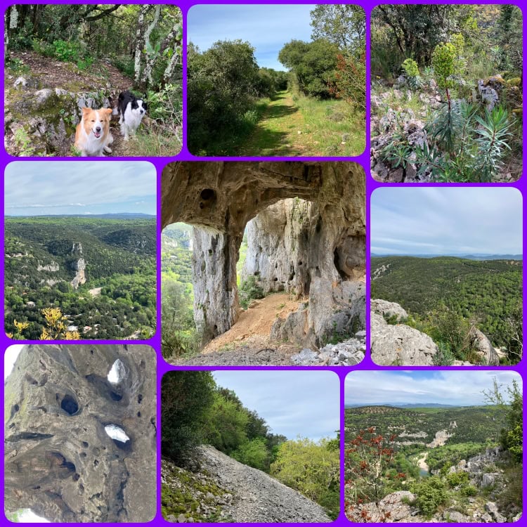 Rocher du Morgue in Frankreich mit Hund – Wandern zwischen Felsen, Wald und Höhlen
