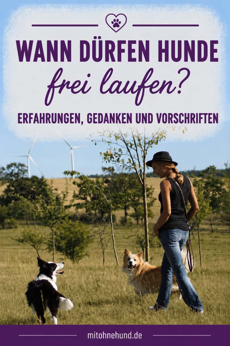 Eine Hundehalterin läuft mit zwei Hunden über eine Wiese. Das Bild zeigt verantwortungsvollen Freilauf beim Hund sowie den sicheren Umgang mit Freilauf, Rücksicht und Orientierung im Alltag.