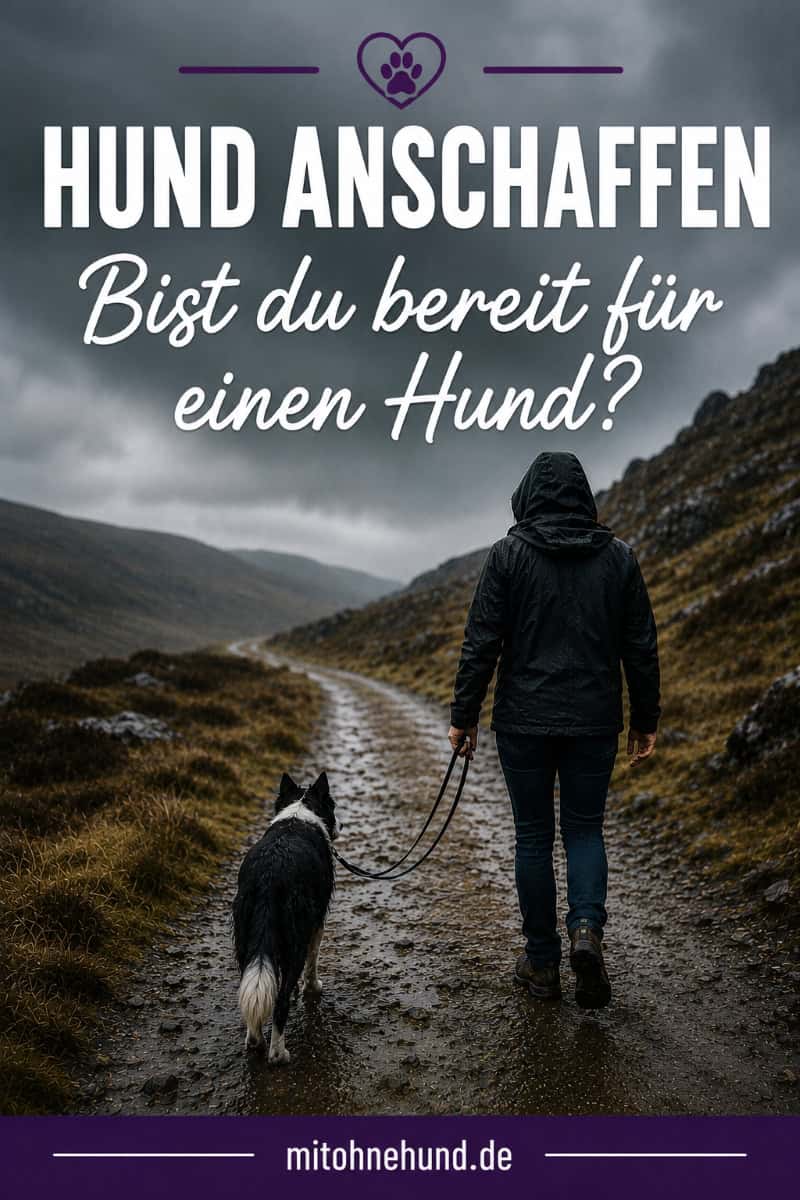 Person geht mit einem Hund auf einem Wanderweg als Beitragsbild für einen Ratgeber zur Hund anschaffen Checkliste. Der Artikel hilft bei der Entscheidung, ob du bereit für einen Hund und die Verantwortung der Hundehaltung bist.