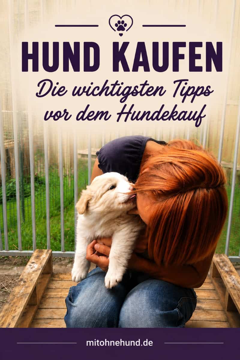 Person hält einen Welpen im Arm als Beitragsbild für einen Ratgeber zum Hundekauf. Der Artikel zeigt, wie du einen Hund seriös kaufst, gesunde Hunde erkennst und typische Fehler beim Hundekauf vermeidest.