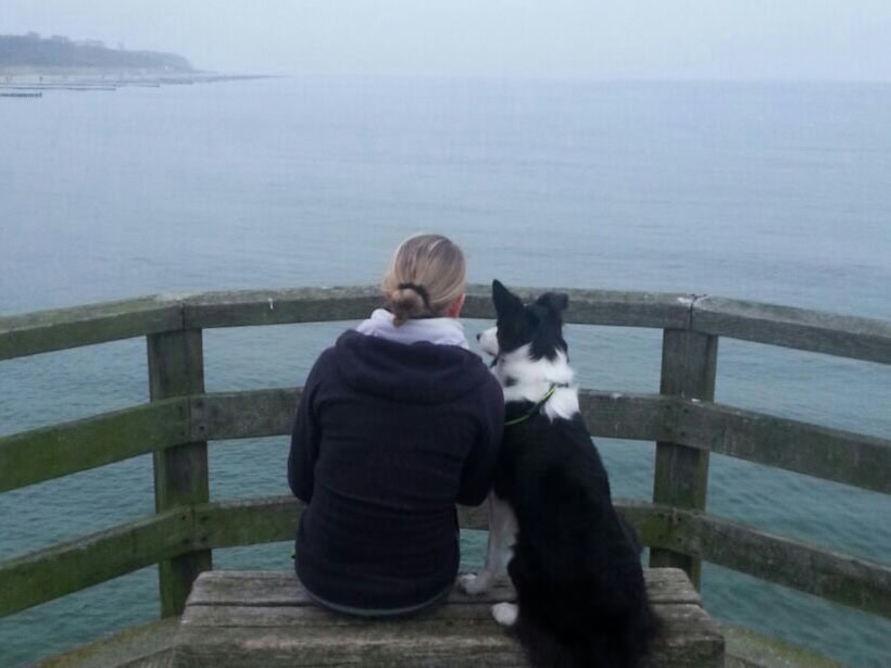 Mensch und Hund sitzen zusammen am Meer – symbolisiert Bindung