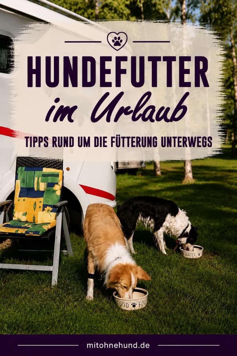 Zwei Hunde fressen vor einem Wohnmobil im Urlaub aus ihren Näpfen. Das Beitragsbild zeigt Hundefutter im Urlaub mit Tipps zu Fütterung unterwegs, Wasser, Futtermenge und Reisen mit Hund.