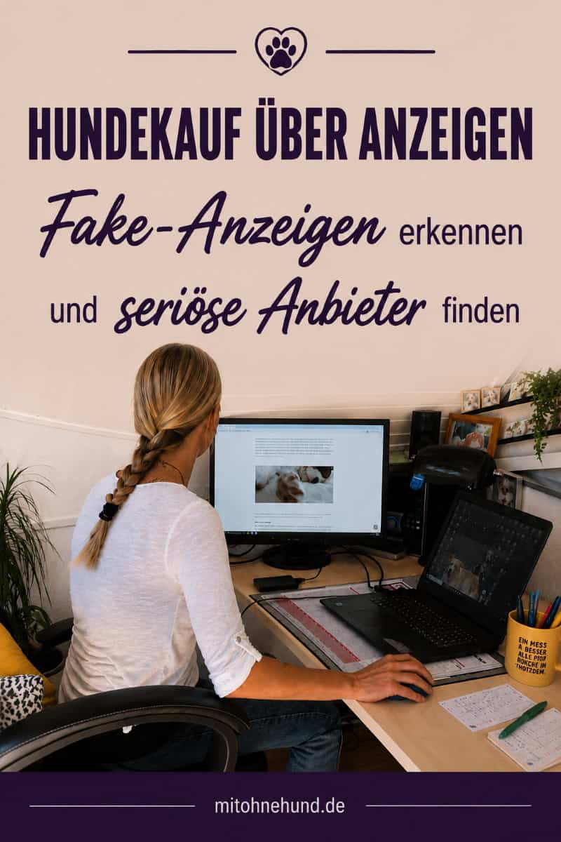 Frau prüft Hundeanzeigen am Computer als Beitragsbild für einen Ratgeber zum Hundekauf über Anzeigen. Der Artikel erklärt, wie du Fake-Anzeigen erkennst, seriöse Anbieter überprüfst und Betrug beim Hundekauf vermeidest.