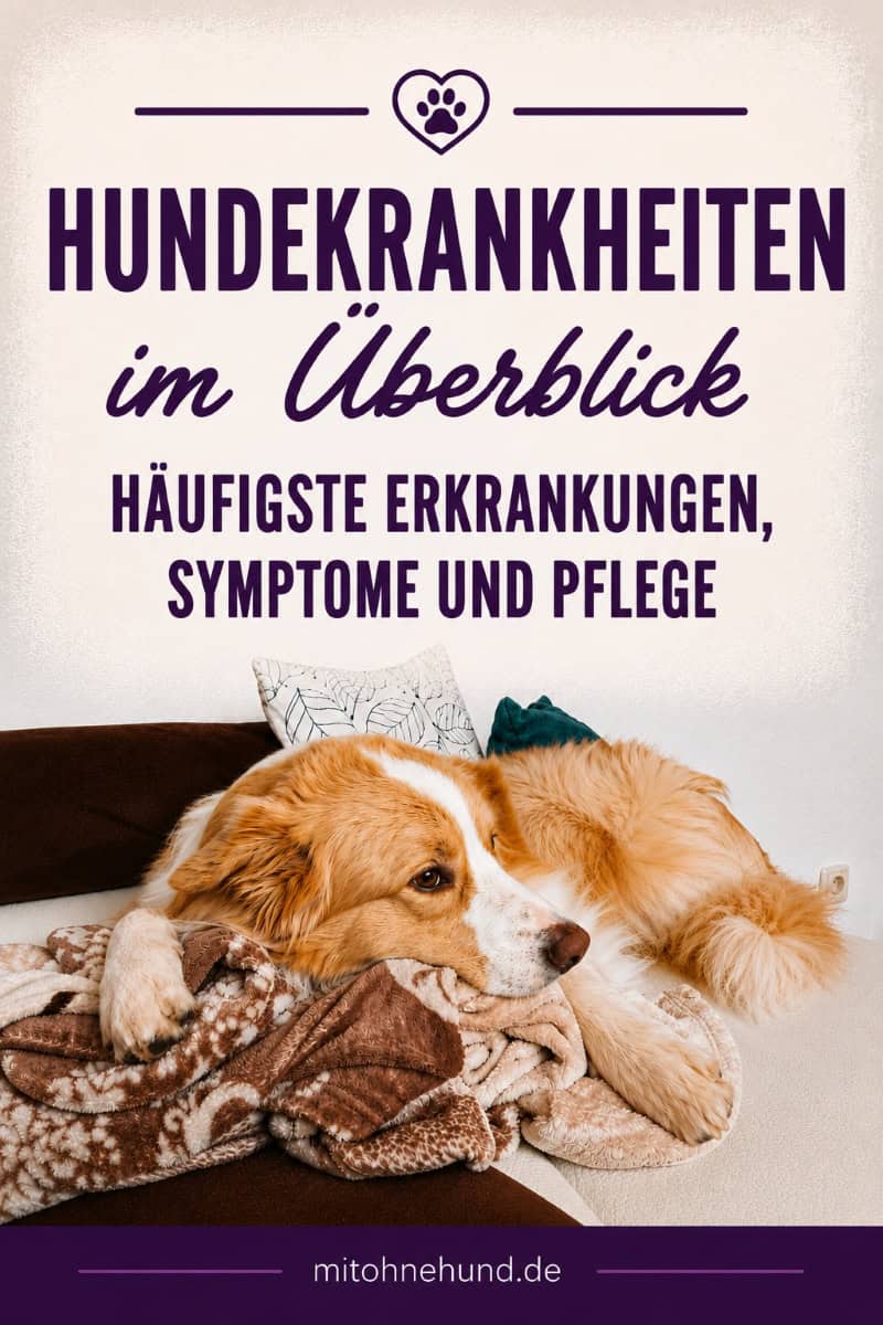 Kranker Hund liegt erschöpft auf einer Decke. Ratgeber über Hundekrankheiten mit Informationen zu Symptomen, häufigen Erkrankungen und Pflege kranker Hunde.