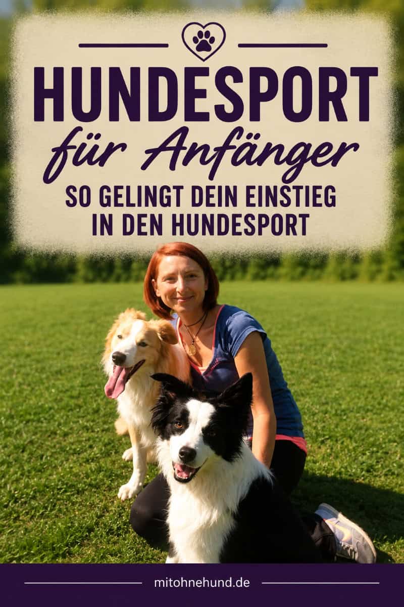 Frau mit zwei Hunden auf einer Wiese. Das Bild steht für den Einstieg in den Hundesport für Anfänger und zeigt die Voraussetzungen für Hund und Halter vor dem Trainingsbeginn.