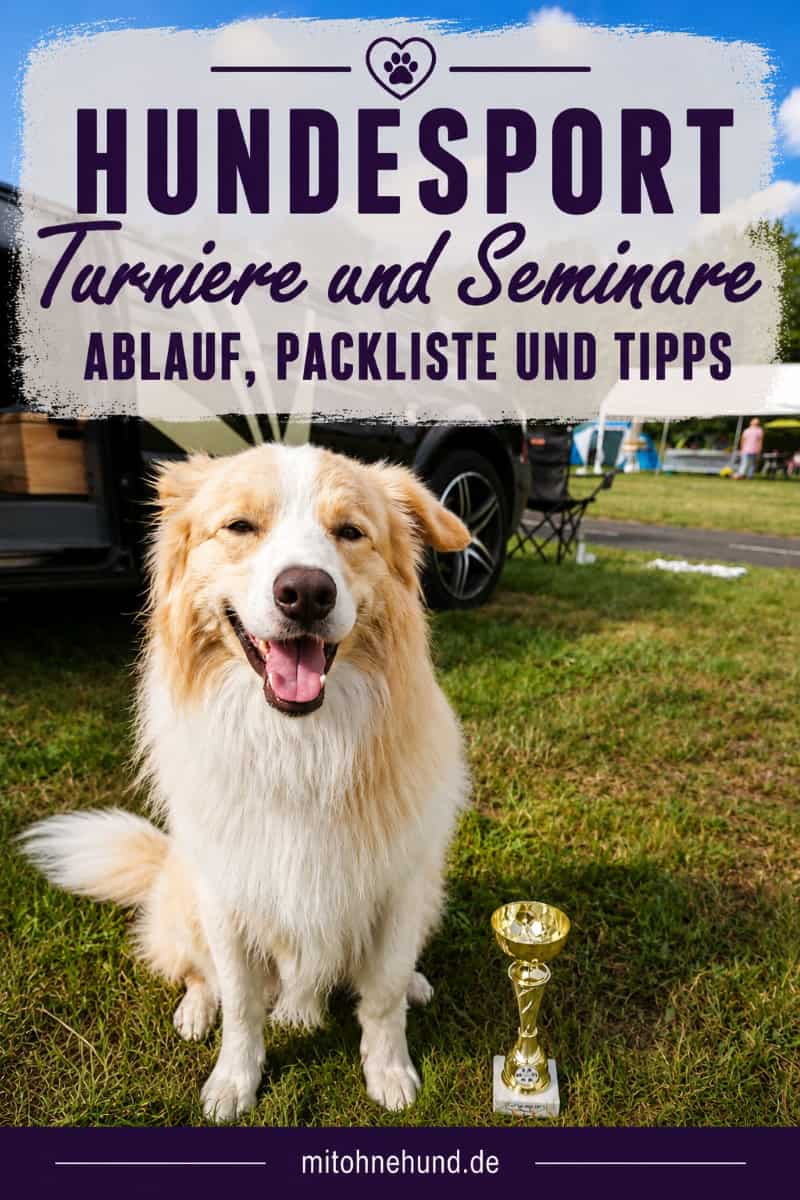 Hund mit Pokal auf einem Hundesport-Turnier vor einem Camper. Das Beitragsbild zeigt die Vorbereitung auf Hundesport-Turniere und Seminare mit Tipps zu Anmeldung, Ablauf und Packliste.