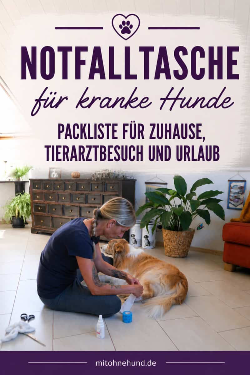 Eine Frau verbindet ihrem kranken Hund zu Hause die Pfote. Das Bild zeigt die Versorgung eines verletzten Hundes und steht für die Packliste einer Notfalltasche für kranke Hunde.