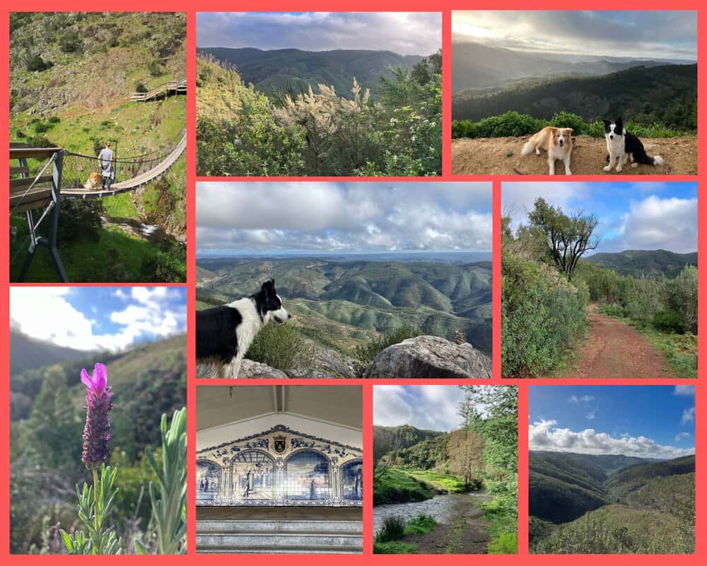 Wandern in Alferce, Portugal mit Hund – Panoramablick, Waldwege und Natur pur in der Serra de Monchique.