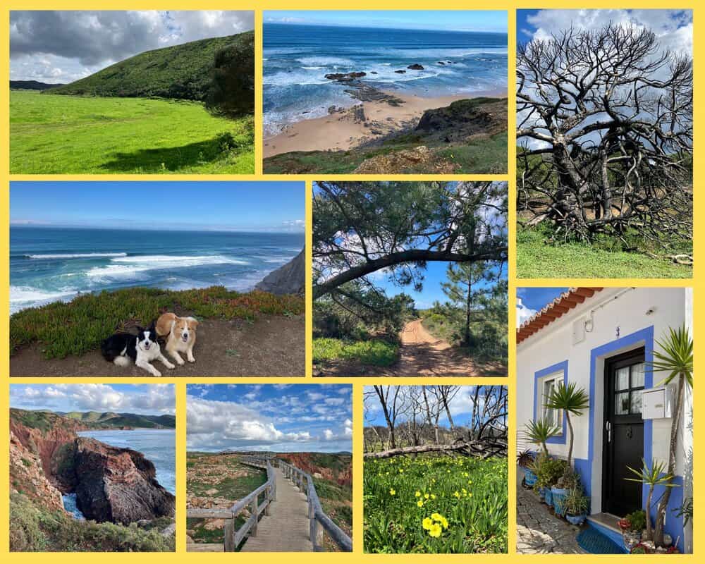 Portugal mit Hund in Bordeira – wilde Atlantikküste, grüne Hügel, Naturpfade und zwei Hunde am Klippenrand.