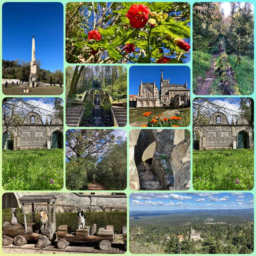 Portugal mit Hund im Buçaco Nationalpark – Waldwege, Klosteranlagen und Naturidylle bei Luso.