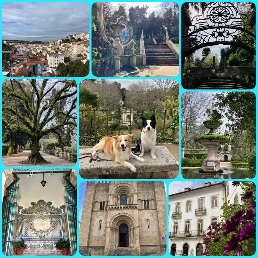Portugal mit Hund in Coimbra – Spaziergang durch historische Parks, Gärten und Altstadt mit romanischer Kathedrale.