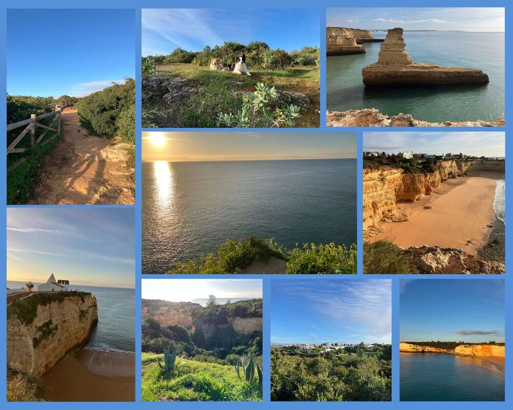 Portugal mit Hund an der Praia da Nossa Senhora da Rocha – goldene Klippen, Sandstrand und Sonnenuntergang an der Algarve.