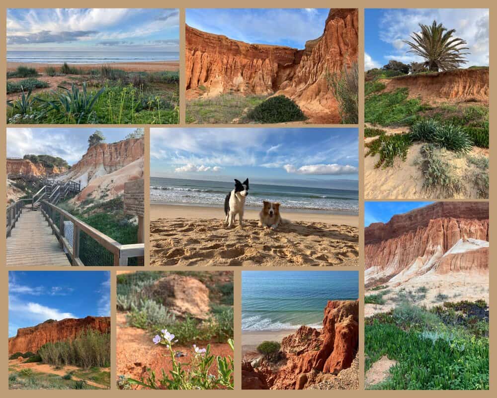 Portugal mit Hund am Praia do Poço Velho – rote Klippen, Sandstrand und Spaziergang an der Algarve-Küste.