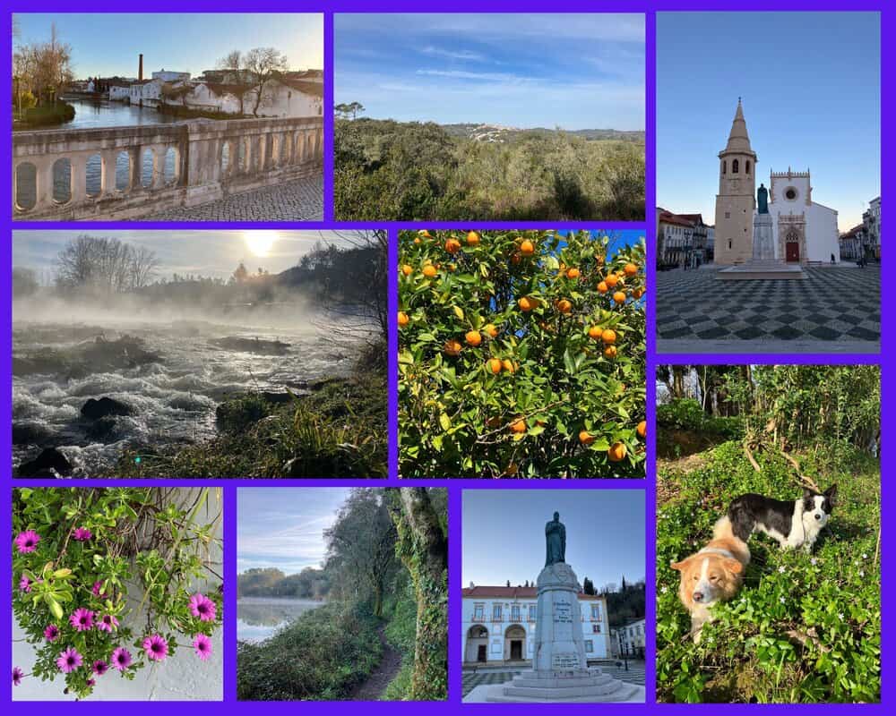 Portugal mit Hund in Tomar – Spaziergang durch die Stadt der Tempelritter mit Flussufern, Klosterblicken und grünen Wegen.