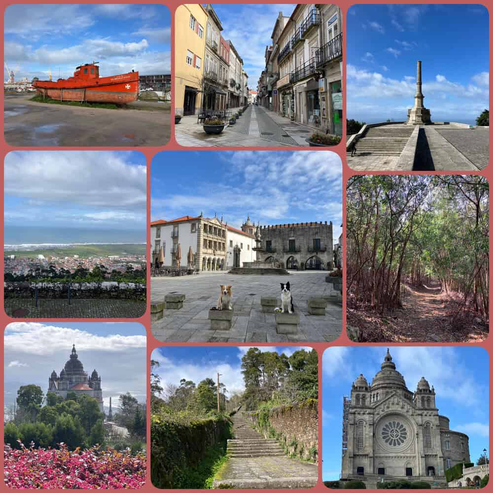 Portugal mit Hund in Viana do Castelo – Altstadt, Santa-Luzia-Basilika, Waldwege und Atlantikküste im Norden.