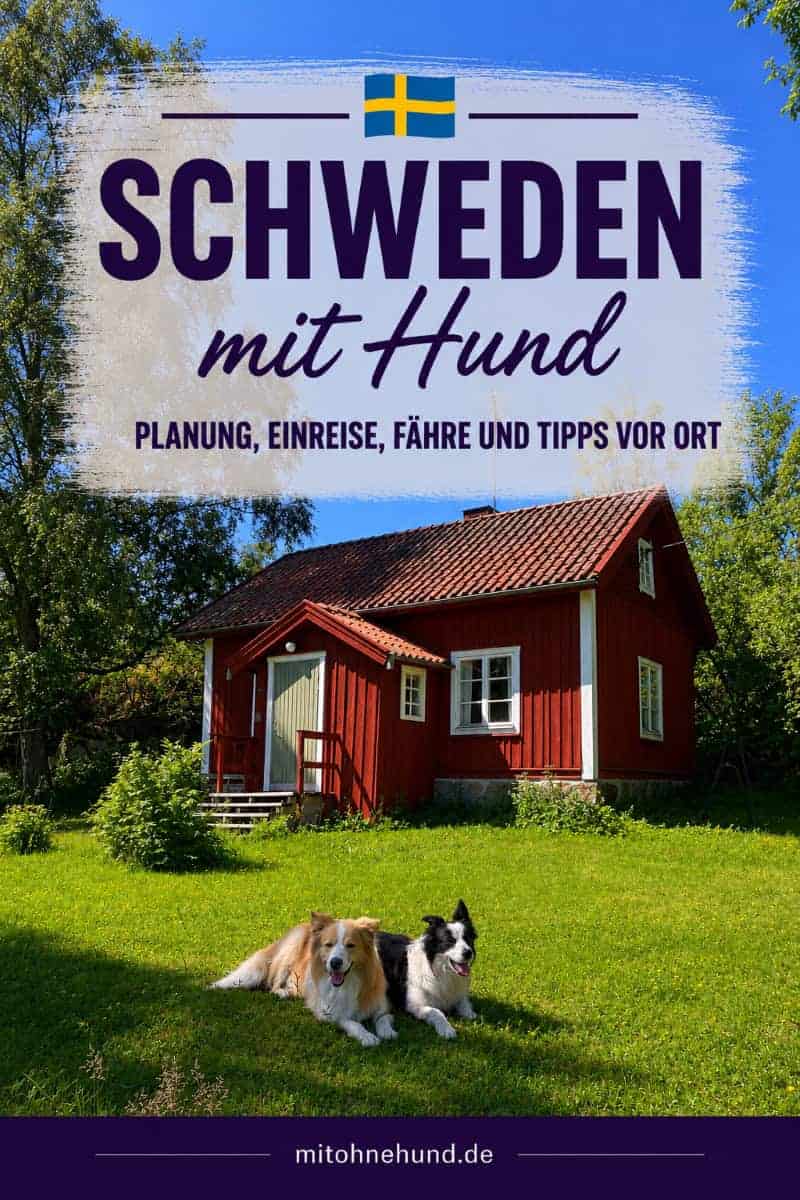Zwei Hunde liegen vor einem typisch roten Ferienhaus in Schweden. Ratgeber für Schweden mit Hund mit Tipps zu Einreise, Fähre, Camping, Nationalparks und Urlaubsvorbereitung.
