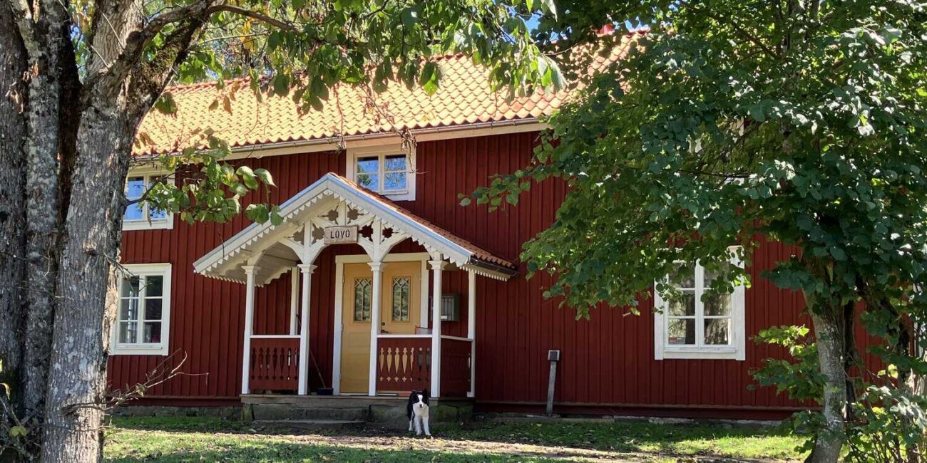 Urlaub mit Hund in Schweden – Ratgeber zu Einreise, Camping, Wandern und Regeln vor Ort