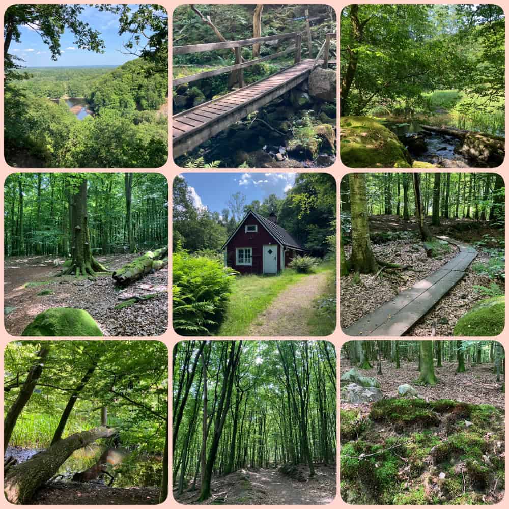 Söderåsens Nationalpark in Schweden mit Hund – Wanderung durch Laubwald, Bachläufe, Holzstege und Aussichtspunkte