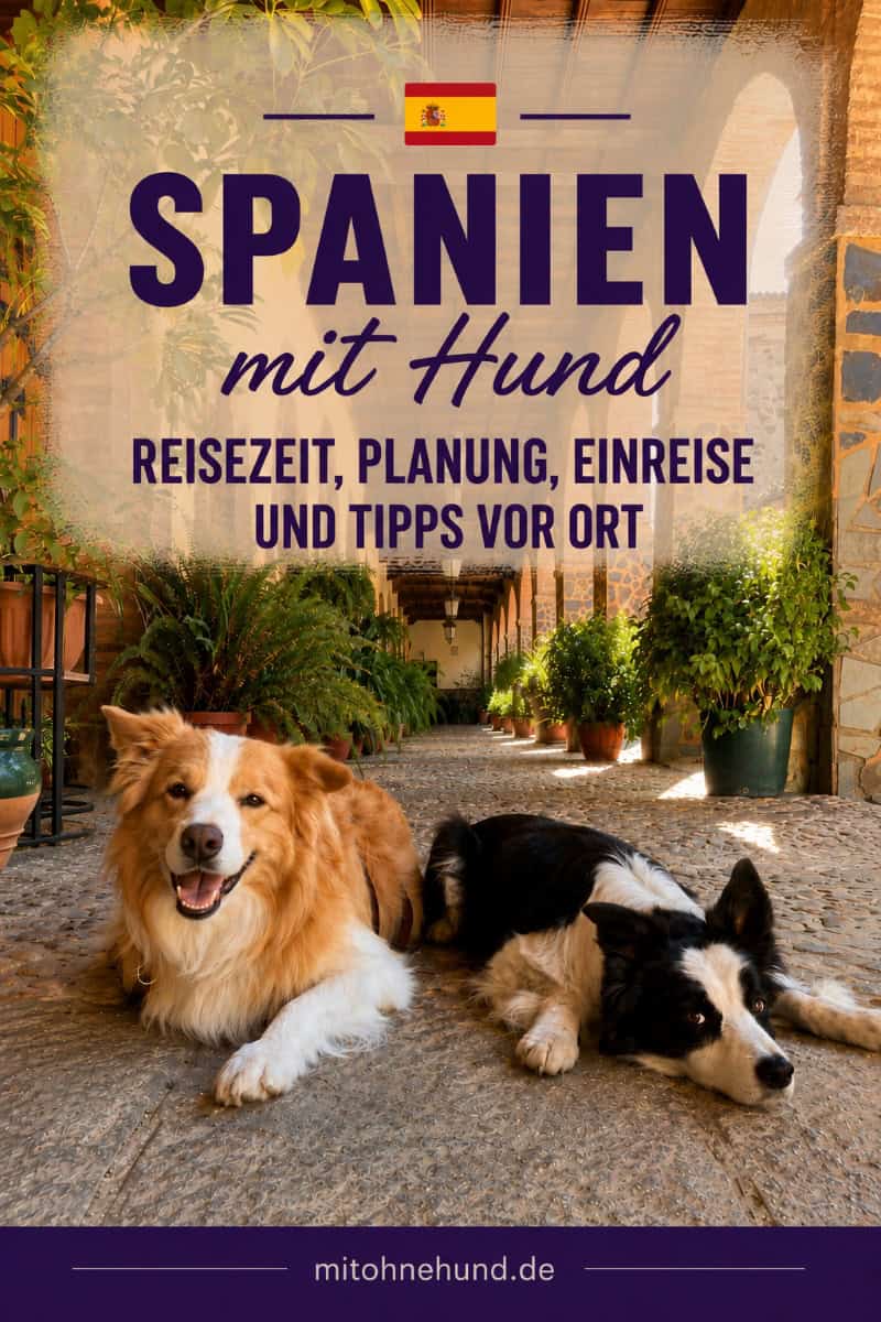 Urlaub in Spanien mit Hund: Zwei Hunde entspannen in einem spanischen Innenhof. Ratgeber mit Tipps zu Reiseplanung, Einreise, Reisezeit, Camping und Urlaub mit Hund in Spanien.