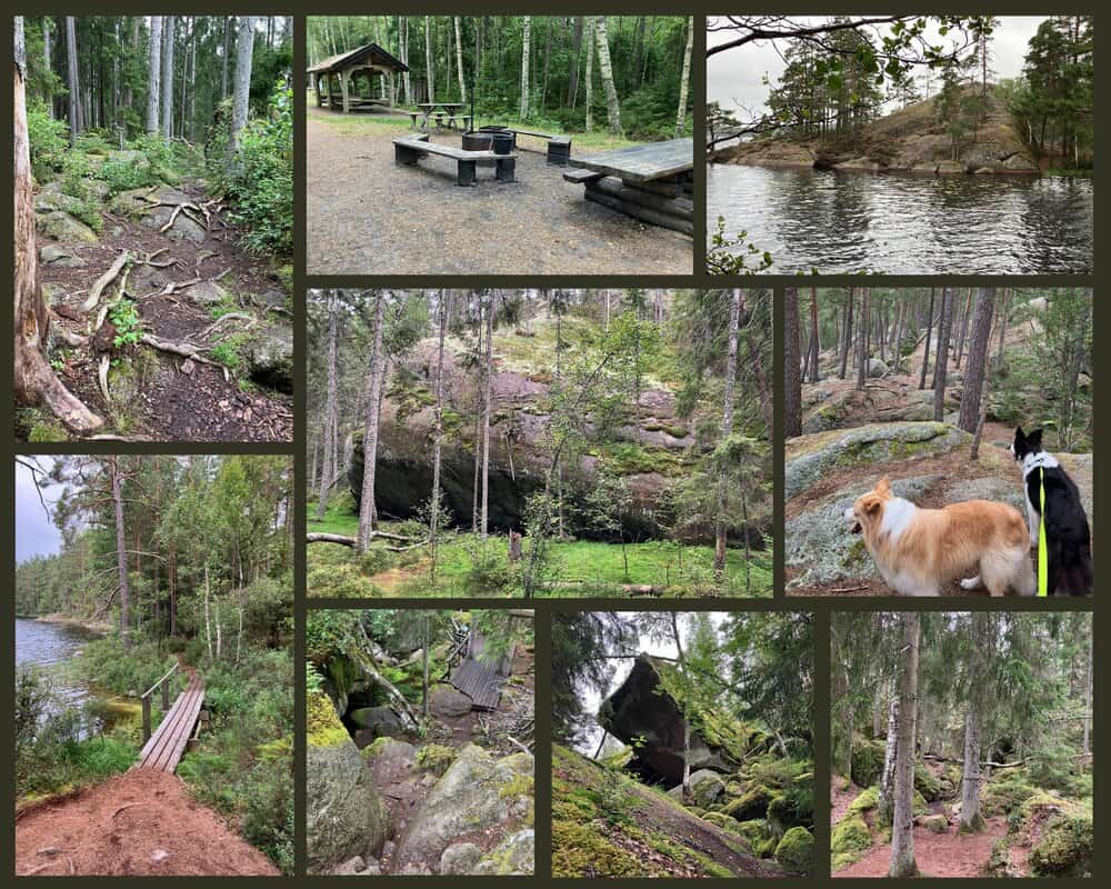 Tiveden Nationalpark Schweden mit Hund – felsige Waldpfade, Moose, Seen und zwei Hunde beim Wandern