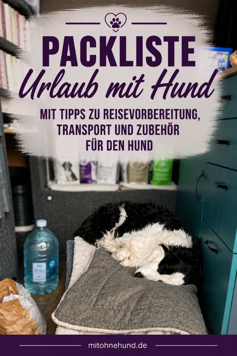 Hund schläft auf seinem Reisebett neben Wasser und Reisegepäck. Das Bild zeigt wichtiges Zubehör aus der Packliste für den Urlaub mit Hund.