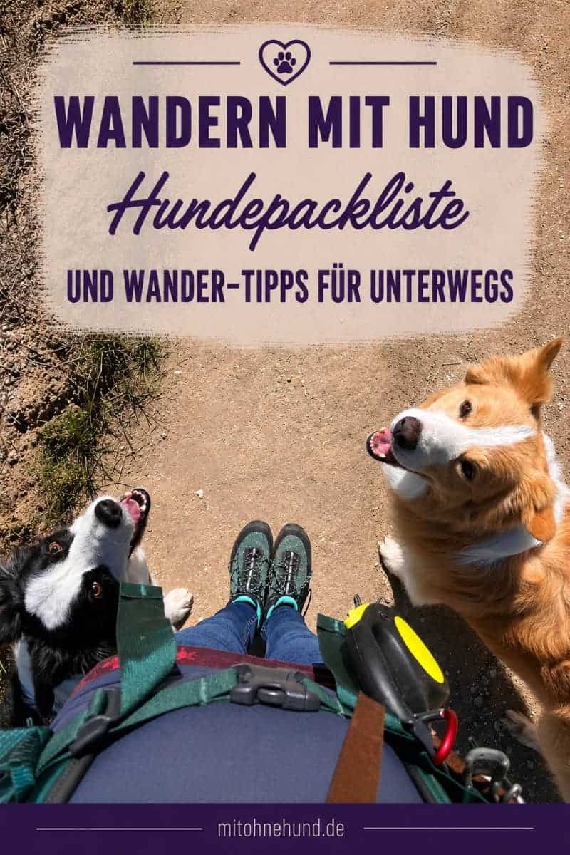 Eine Wanderin ist mit zwei Hunden auf einem Wanderweg unterwegs. Das Bild verweist auf einen Ratgeber zum Wandern mit Hund mit Packliste, Ausrüstung, Wandertipps und Checkliste für unterwegs.