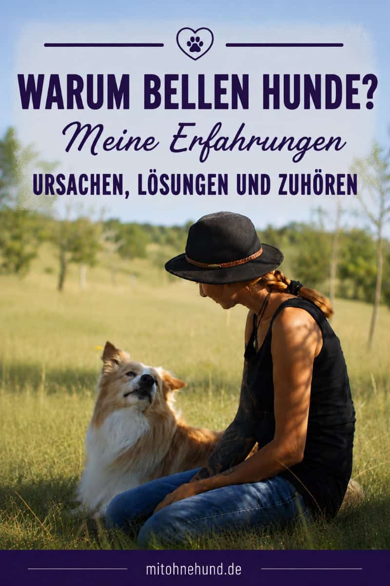 Eine Frau sitzt auf einer Wiese und blickt ihren Hund an, der aufmerksam zu ihr hochschaut. Das Bild steht für die Ursachen von Hundegebell, gemeinsame Kommunikation und das Finden passender Lösungen im Alltag.