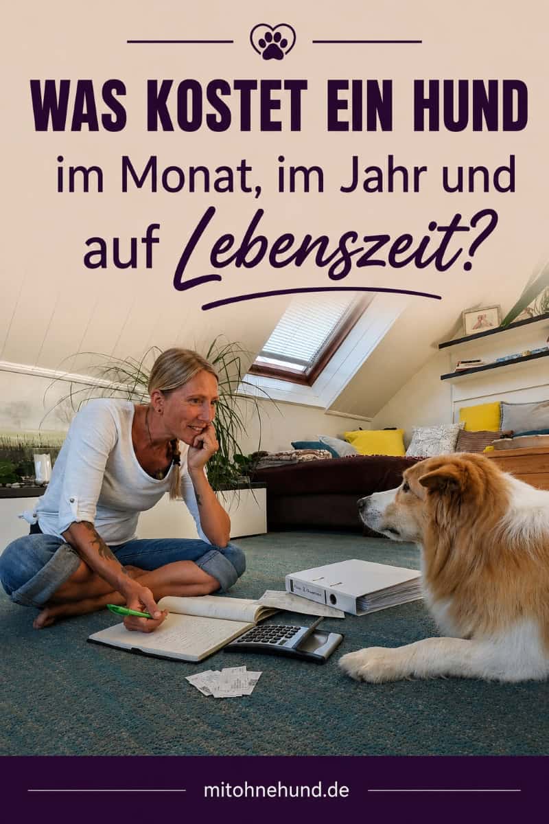 Frau berechnet gemeinsam mit ihrem Hund die Kosten der Hundehaltung. Das Beitragsbild zeigt einen Ratgeber über die Anschaffungskosten, laufenden Hundekosten sowie die monatlichen, jährlichen und lebenslangen Kosten eines Hundes.